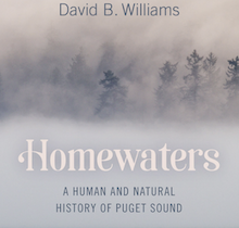 screenshot of cover of book Homewaters