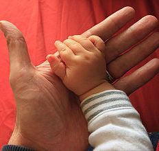 photo of baby's hand in adult's