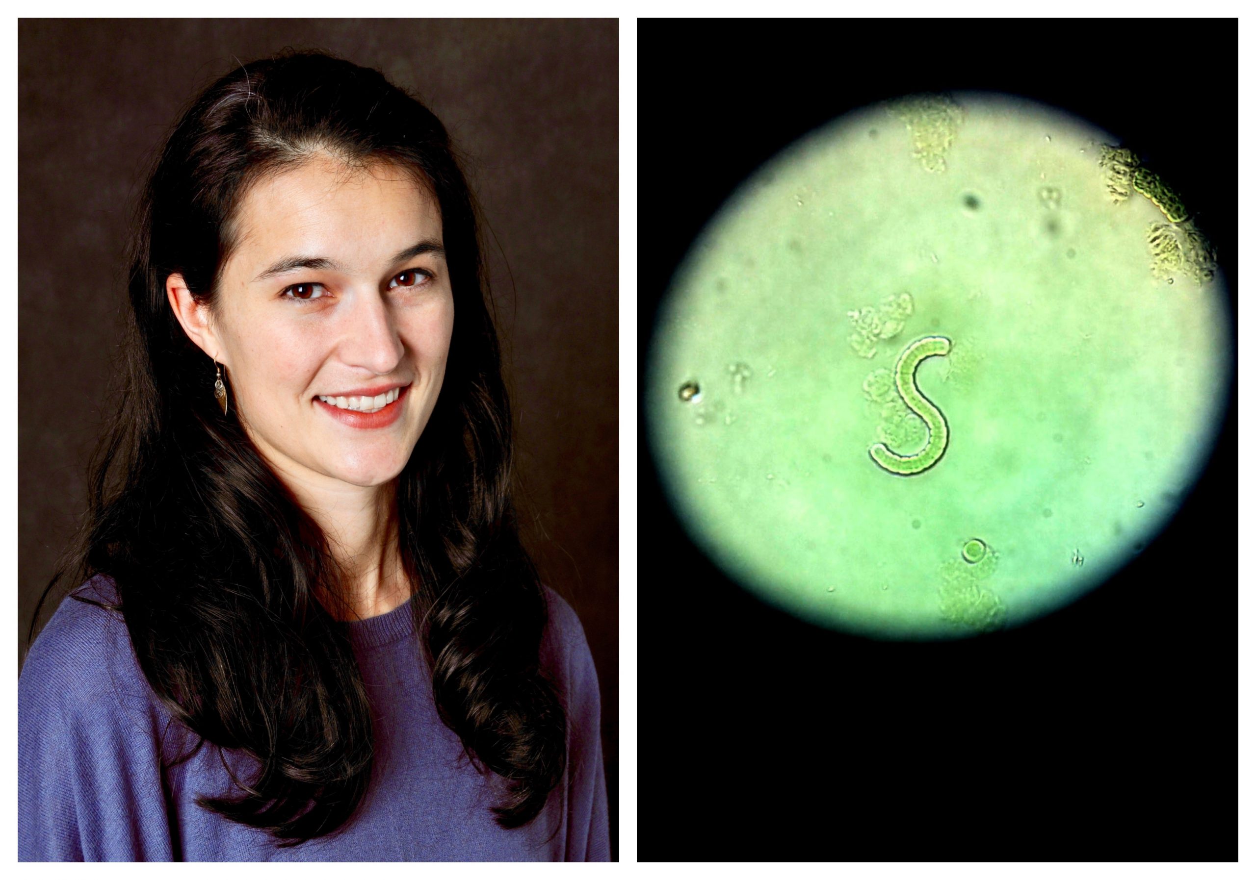 A woman with long dark hair, partly pinned back, who's wearing a purple sweater. Right, a pale green circle illuminated on black, with an S-shaped blue-green algae in center.
