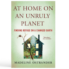 book cover: At Home on an Unruly Plante by Madeline Ostrander. cover image is of a house shape with a nature image on it