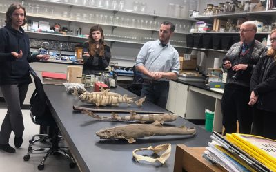 Tour the Burke Museum Fish Collection