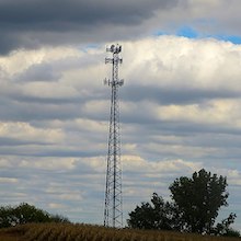 photo of a cell phone tower rising above a field and some trees