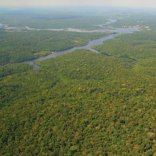 aerial view of a big forest with a river