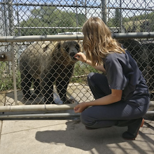 photo of person with long hair giving something to a bear behind a chain link fence