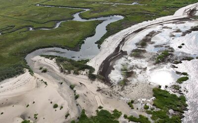 Swenson: Natural Barriers Against Flooding