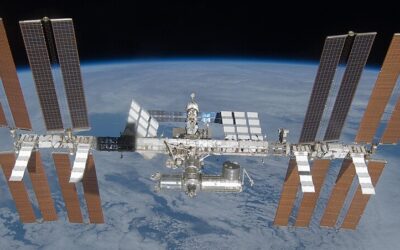 Hoover: Testing DNA Repair with Space Flies