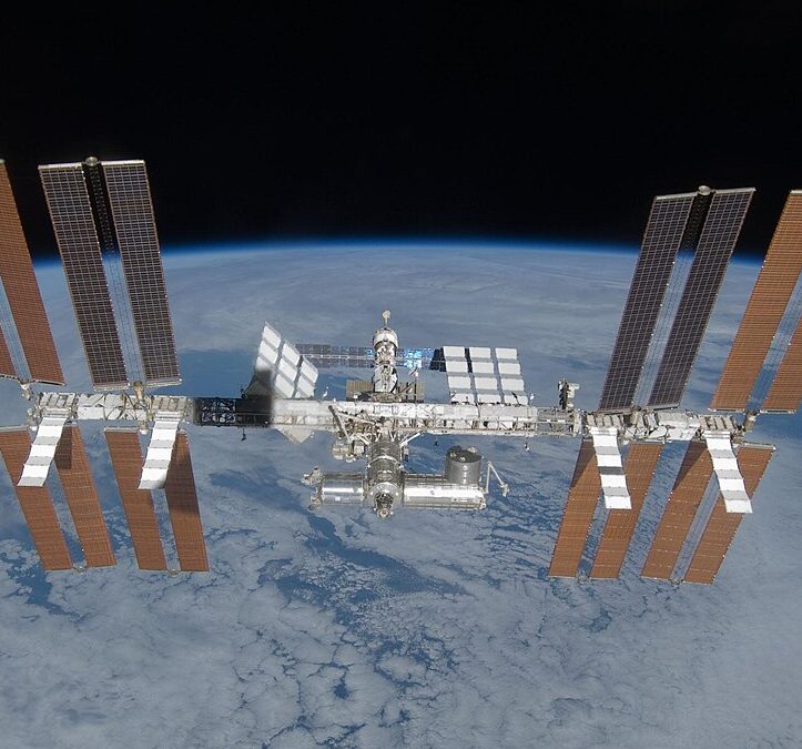 Hoover: Testing DNA Repair with Space Flies