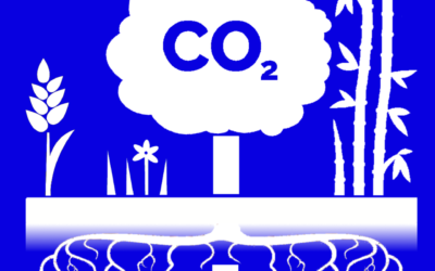 Gibbs: What’s Enough Carbon to Capture