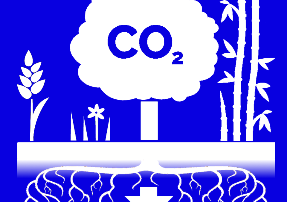 Gibbs: What’s Enough Carbon to Capture