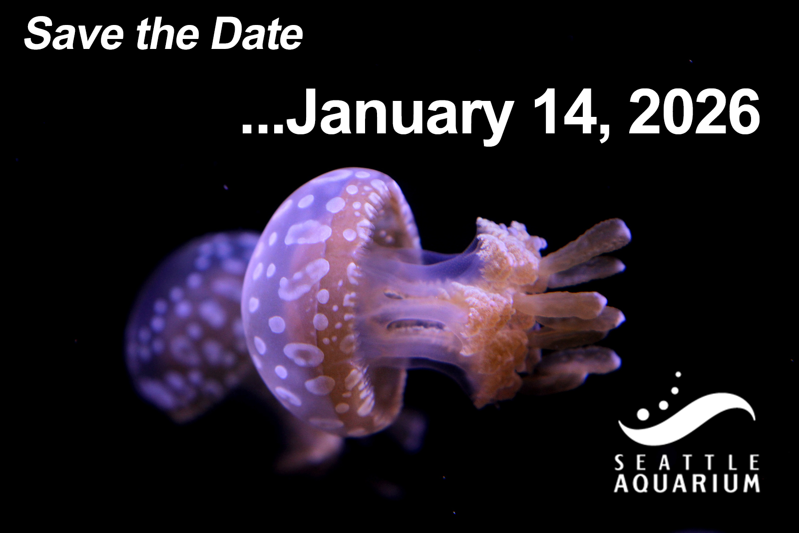 Picture of Ayana Elizabeth Johnson next to her book, What If We Get It Right?