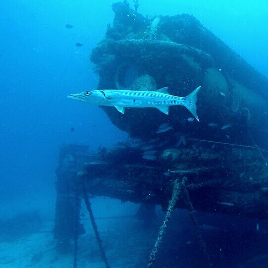 Harris: Meet the New Subsea Habit in Four Decades