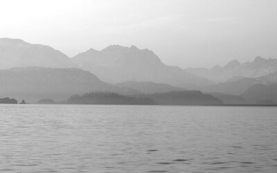 Schoch: Hidden Gem: Sadie Cove